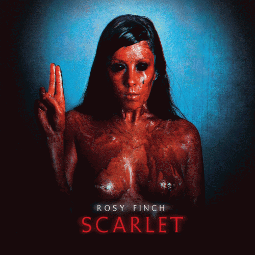 Rosy Finch : Scarlet